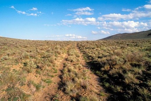 wagon-tracks-oregon-trail